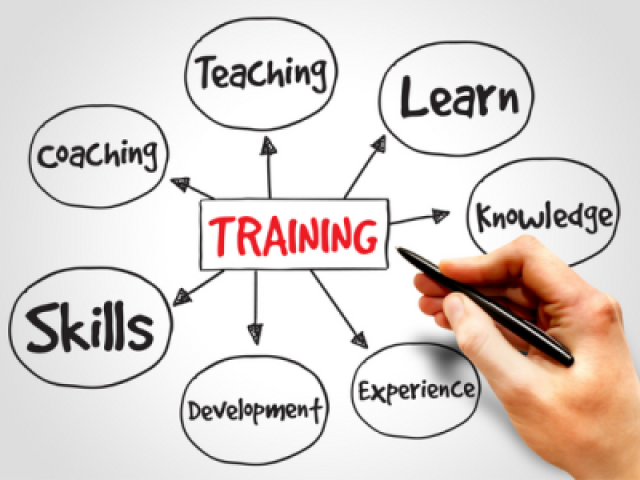 Employee Training: The Key to Building a Talented Workforce